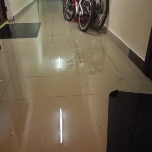 5a01968c96d6f319524537