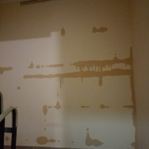 5a01968c9cf03003290014