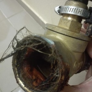 5a01969a47a66804920796