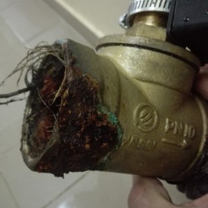 5a01969aa0a90168321431