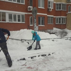 5c8a5114bf934231023776